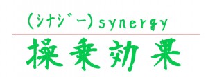 what仕様synergyﾄﾘﾐﾝｸﾞ