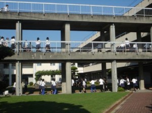 早朝から練習