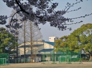 09sakura02