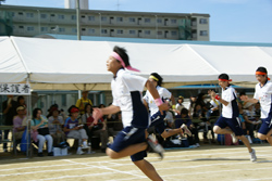 SONY DSC
