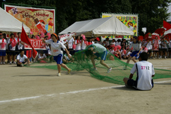 SONY DSC