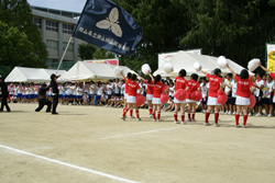 SONY DSC