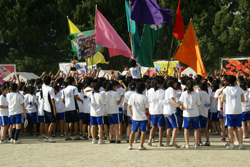 SONY DSC