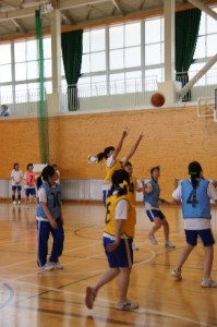 110525basket_01