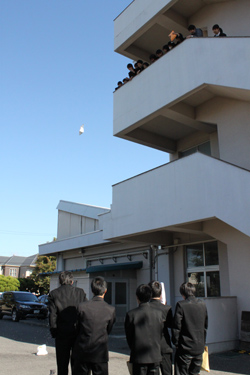 12卵03