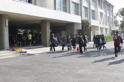 IMG_2496