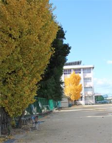 H25紅葉02