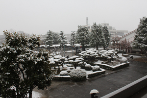 20140214雪02
