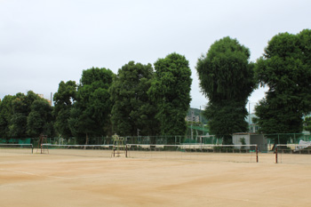 2016テニスコート
