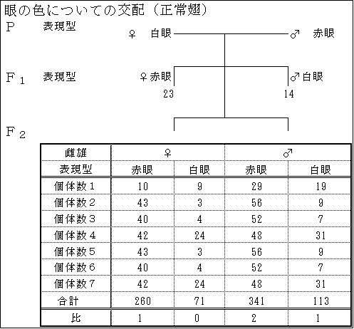 ショウジョウバエの遺伝と実験 (1952年)