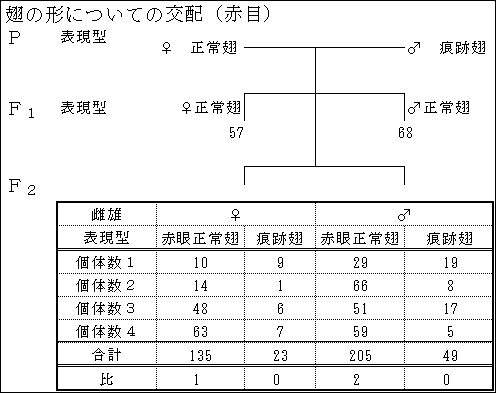 ショウジョウバエの遺伝と実験 (1952年)