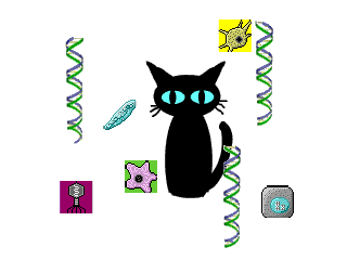 ̎K